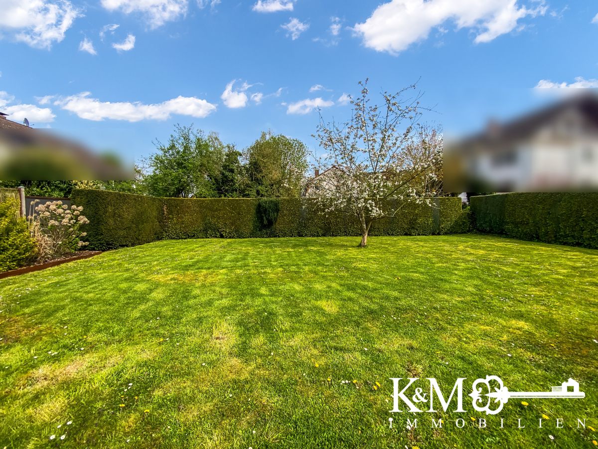 Immobilien Bild