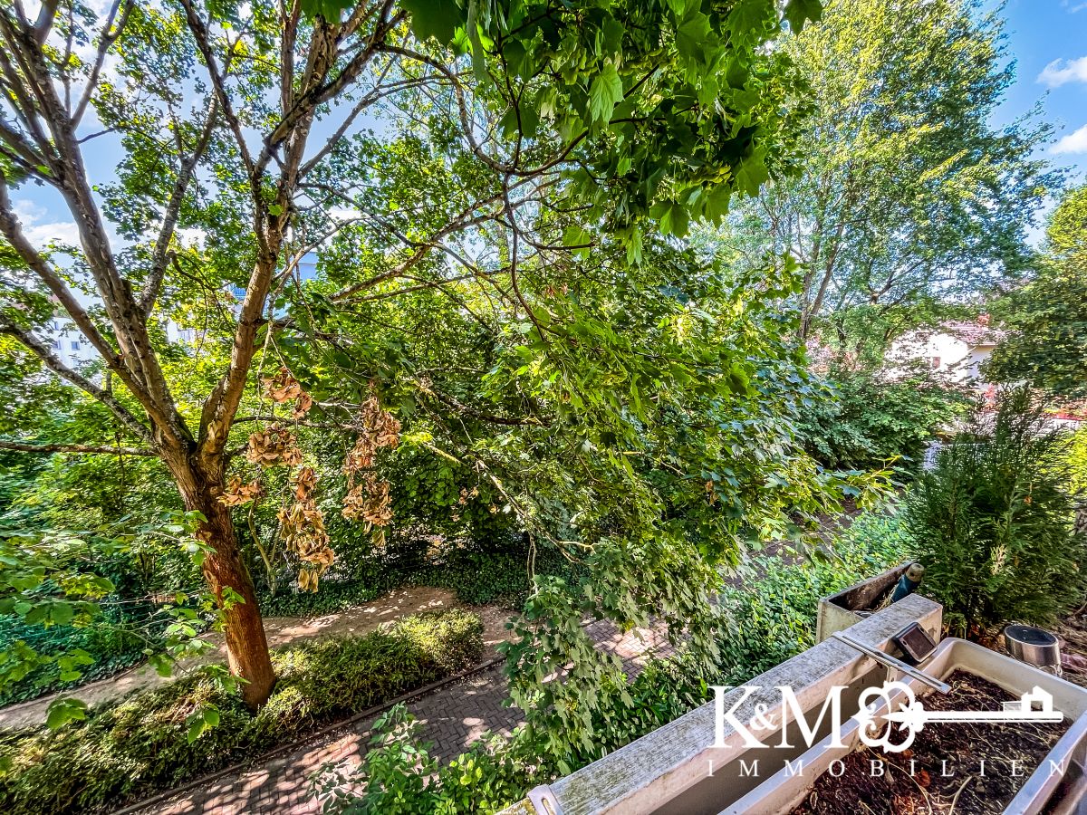 Immobilien Bild